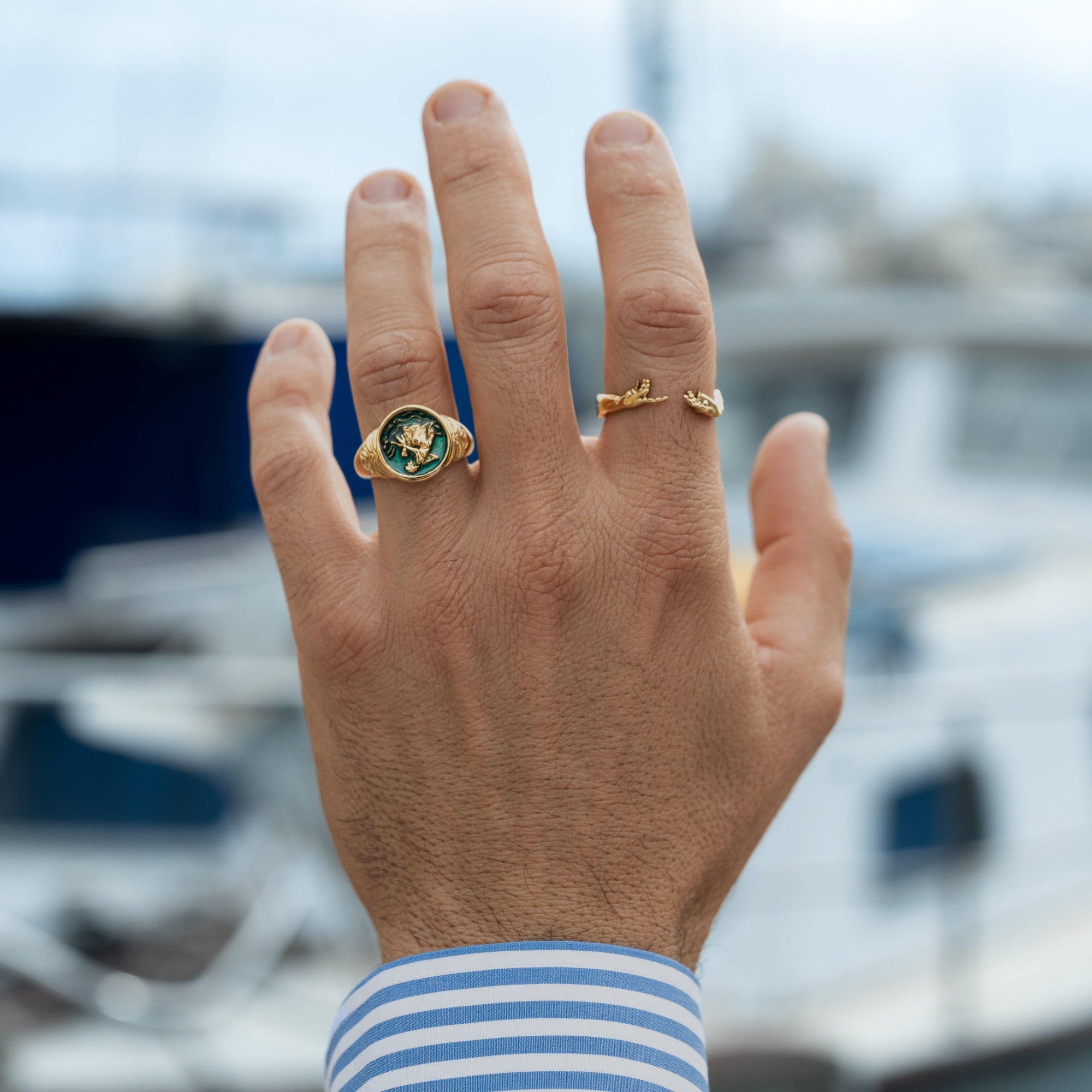 Hand wearing two rings with a blurred marina background