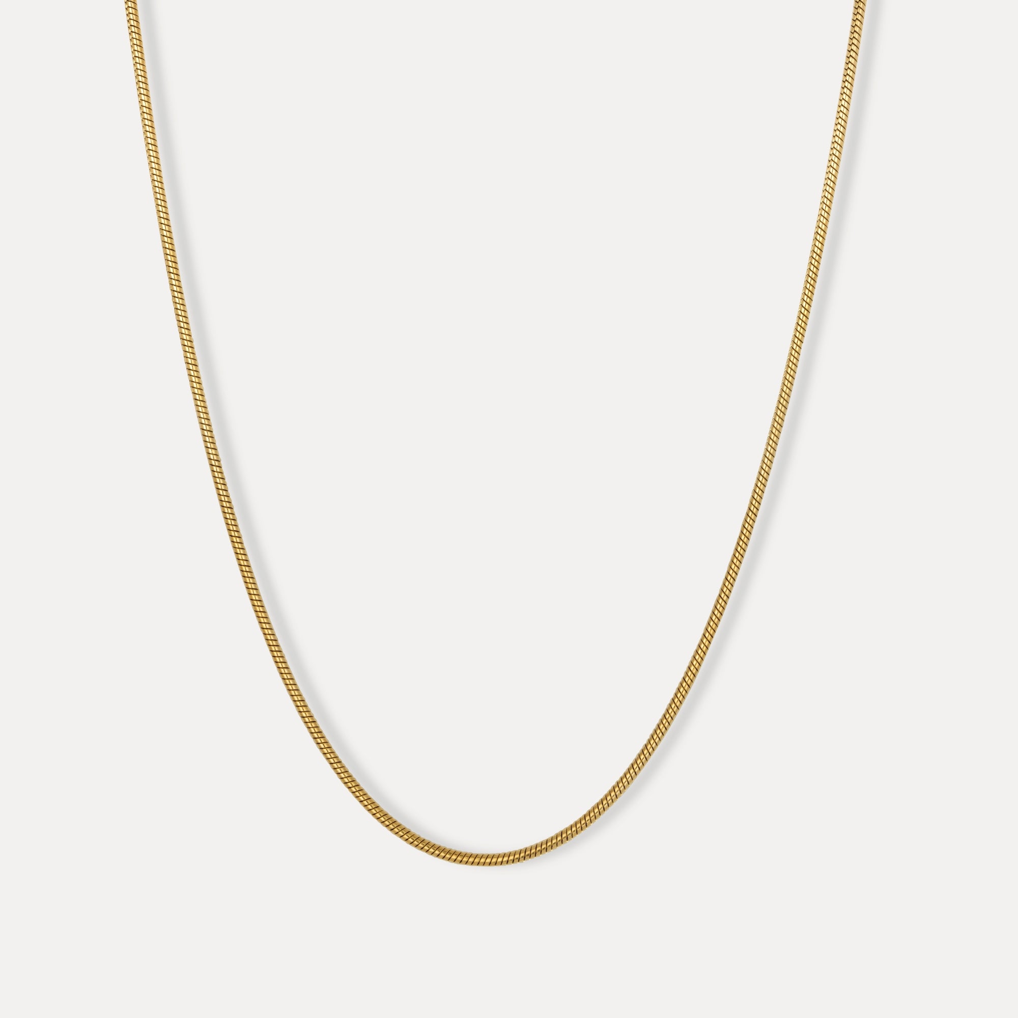 Gold Snake Chain (2MM)