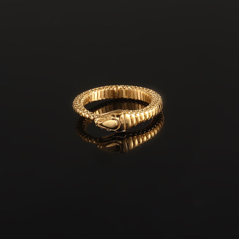 Snake Band Ring - Gold