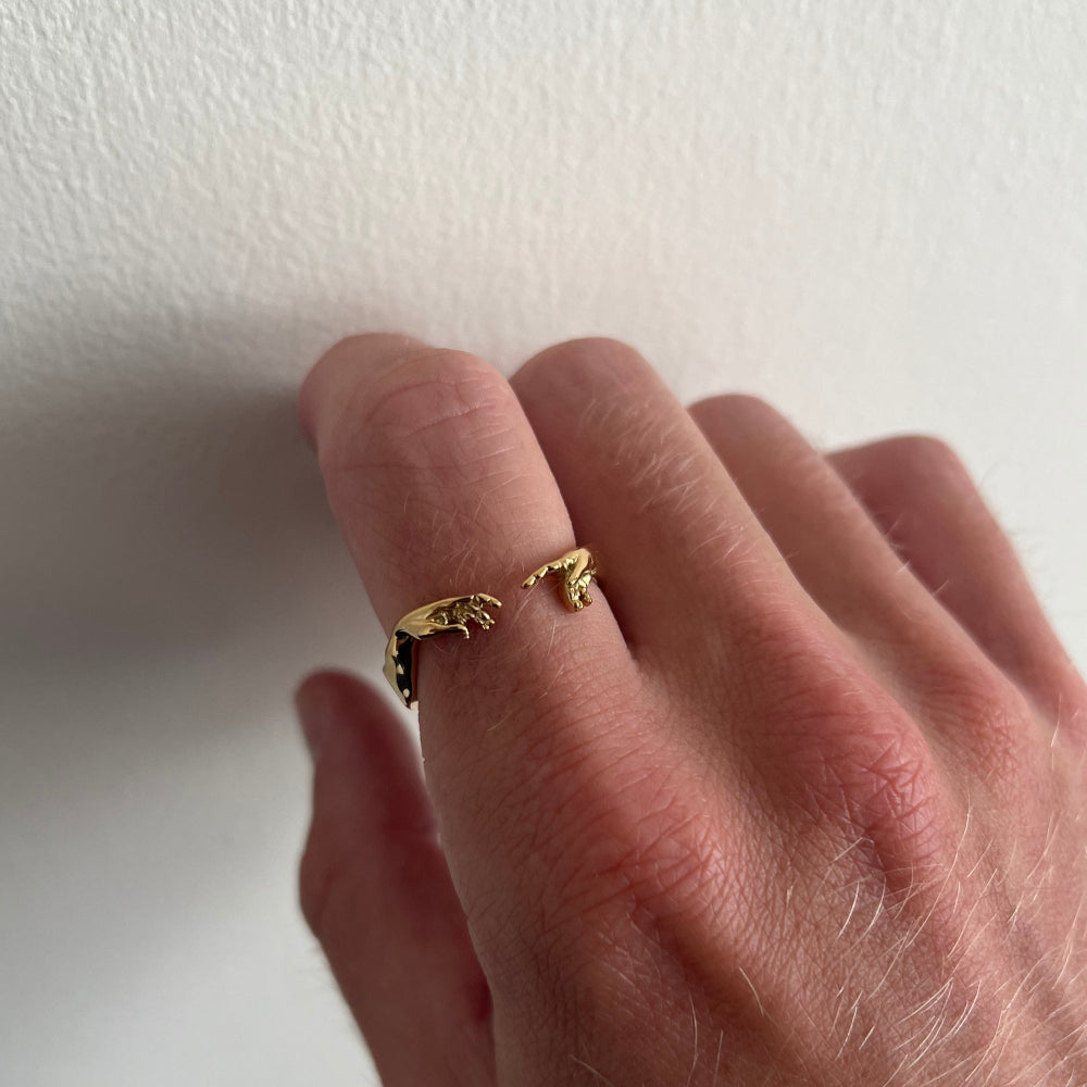 Gold ring on a finger against a white background