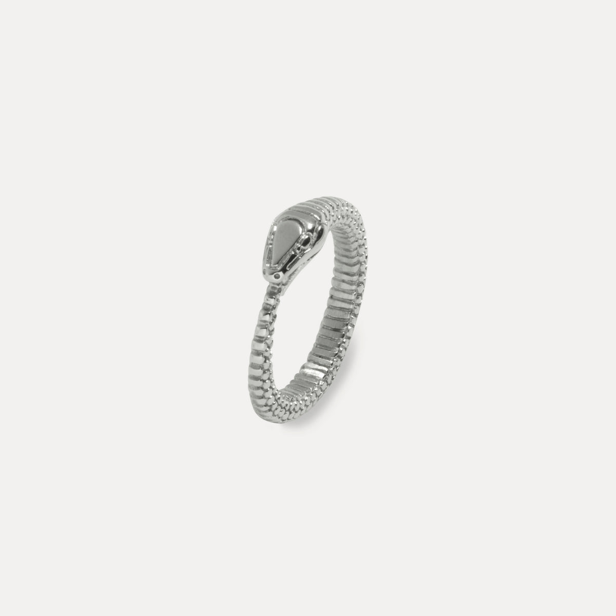 Snake Band Ring - Silver