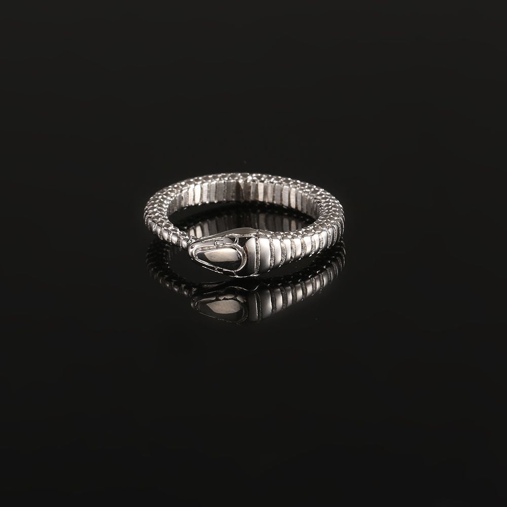 Snake Band Ring - Silver