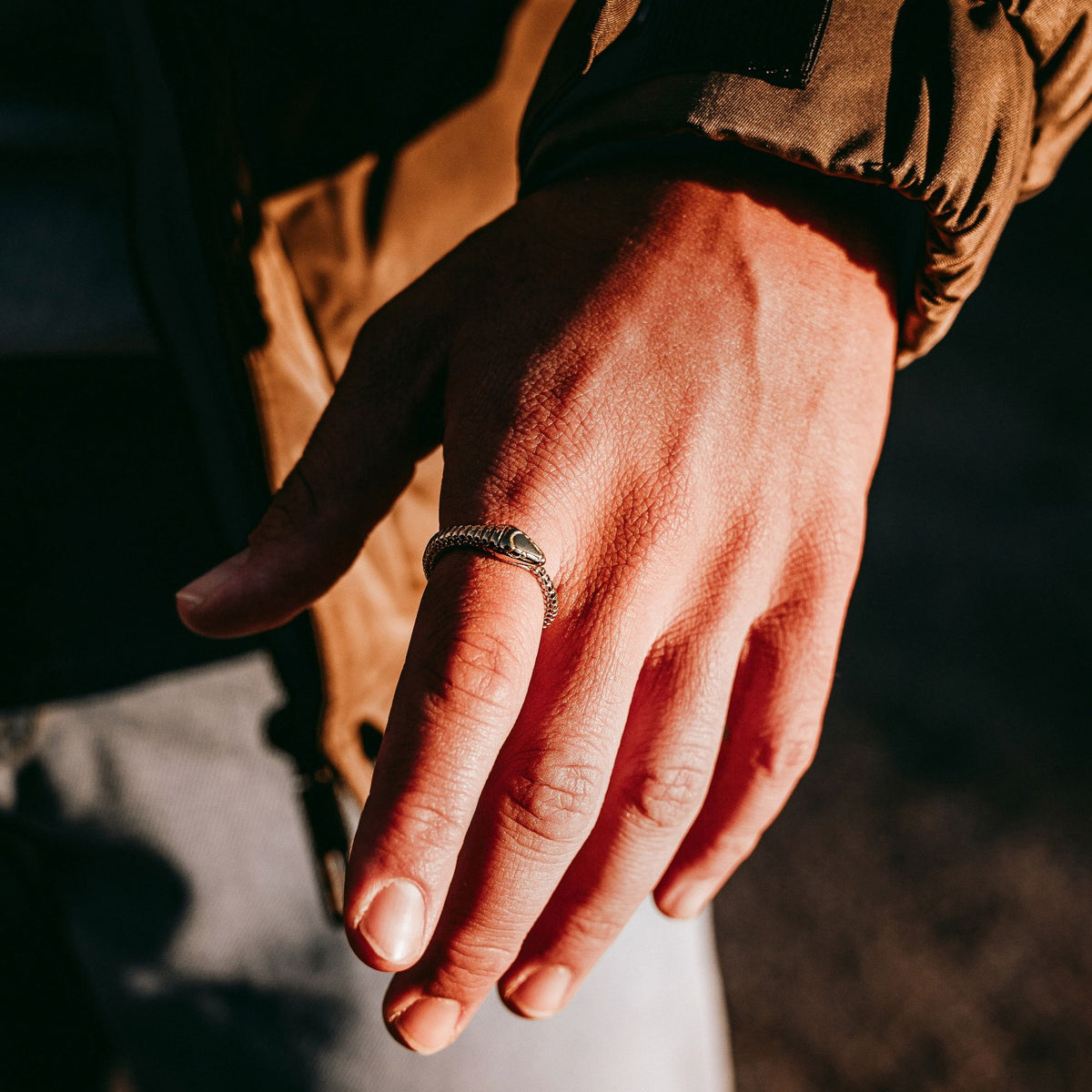 Snake Band Ring - Gold