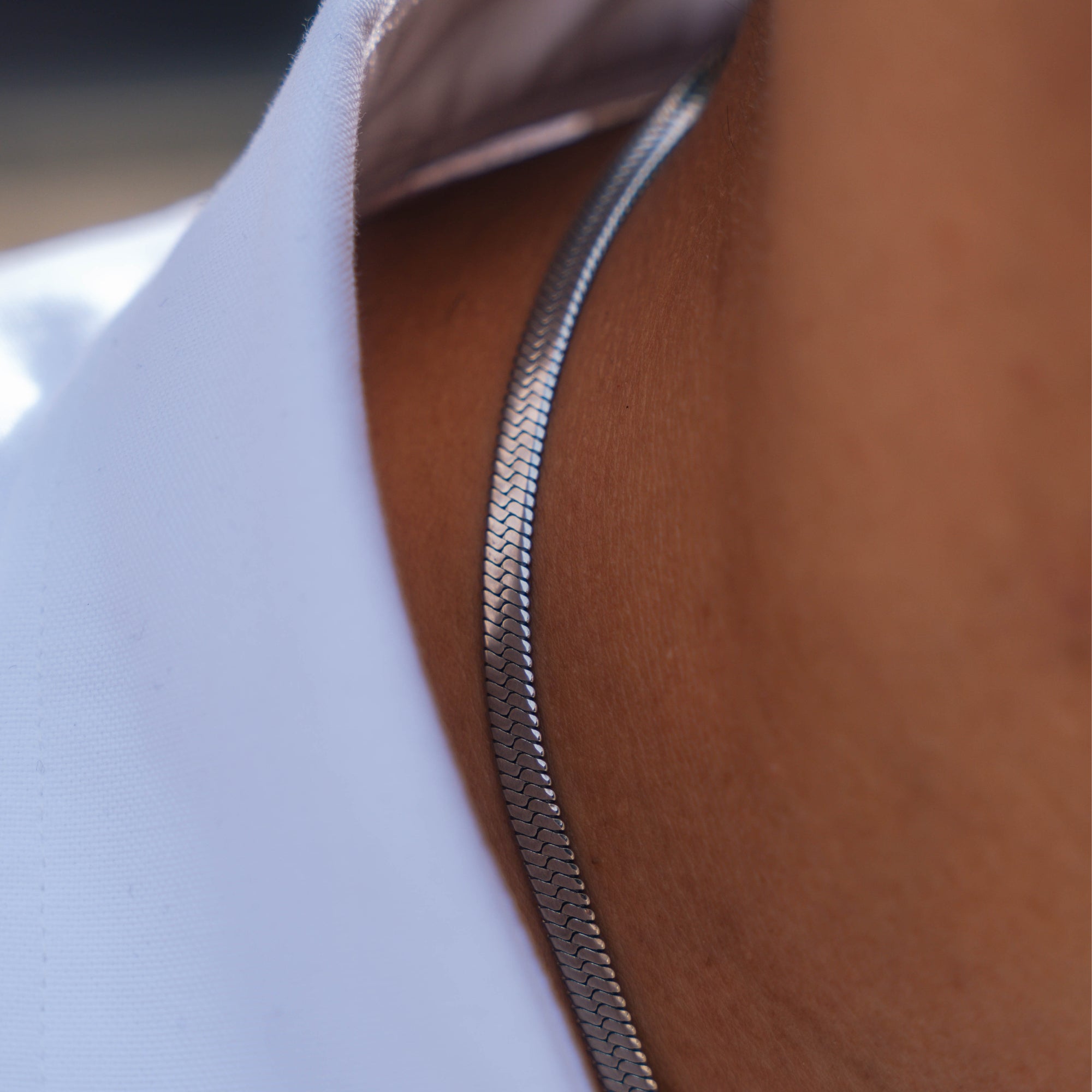 Gold Flat Snake Chain (5MM)
