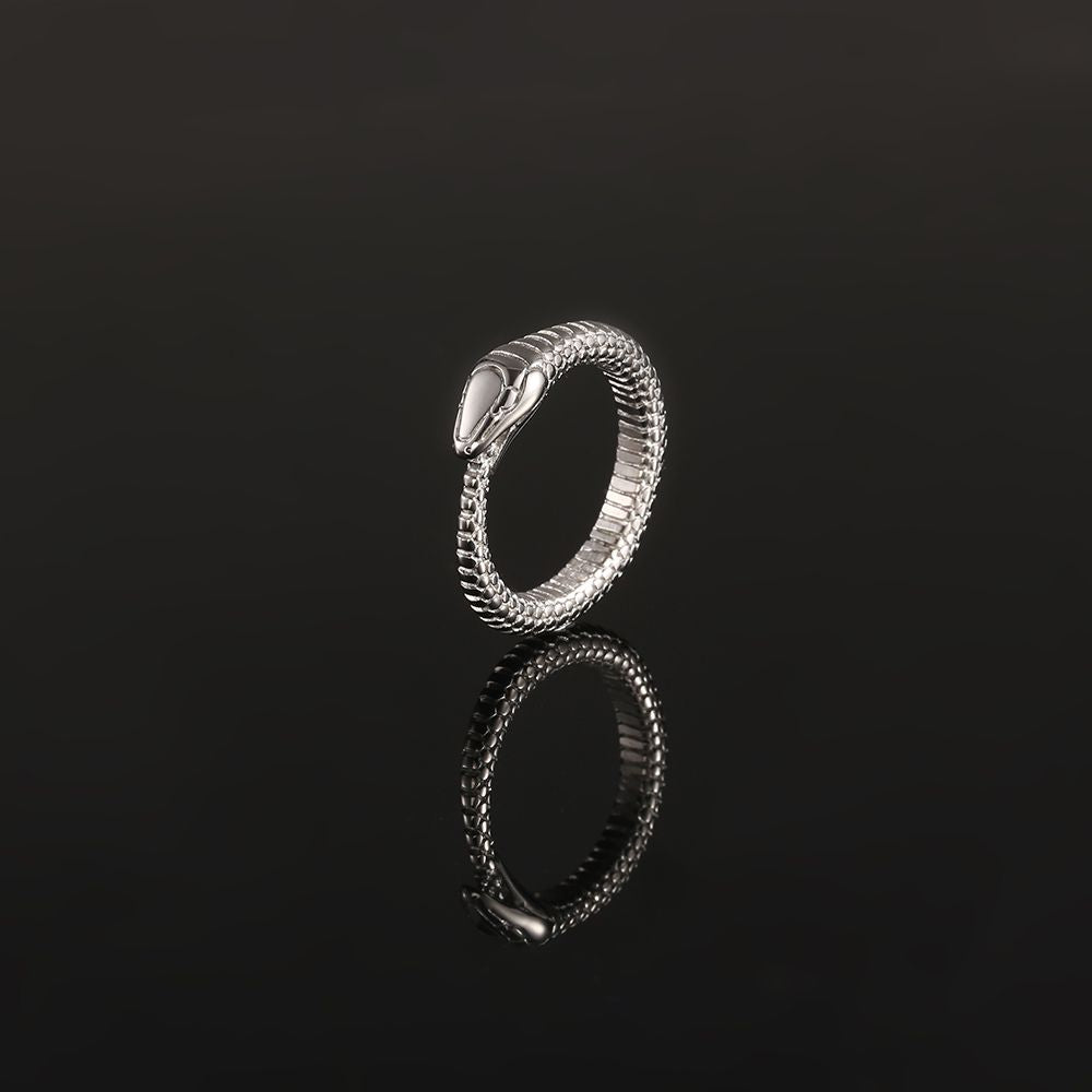 Snake Band Ring - Silver