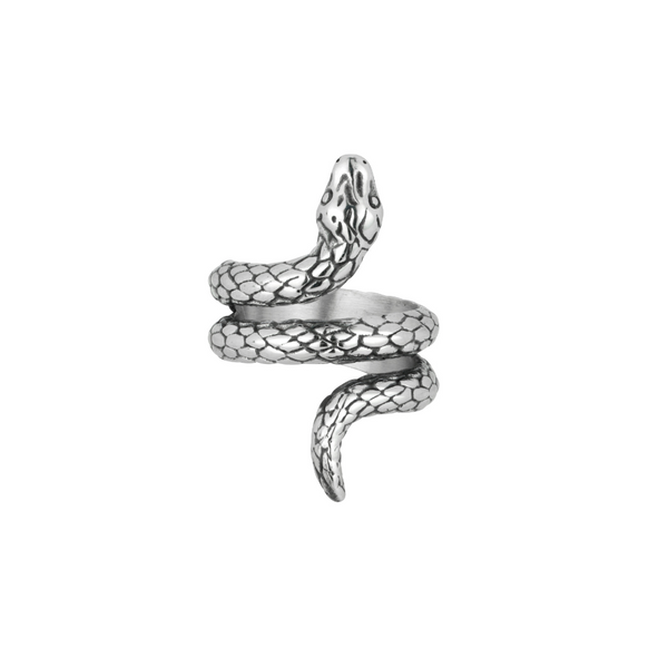 Men's Silver Snake Ring - Spiral Snake Ring for Men | Twistedpendant