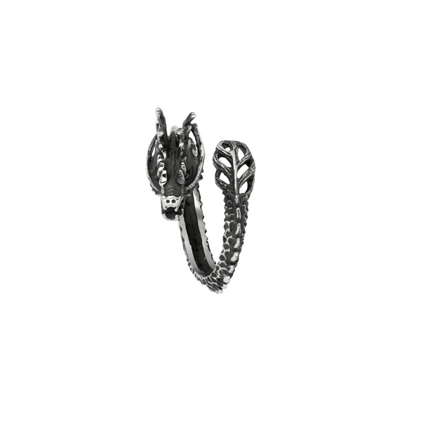 Silver Dragon Ring - Mens Silver Dragon Rings | Twistedpendant